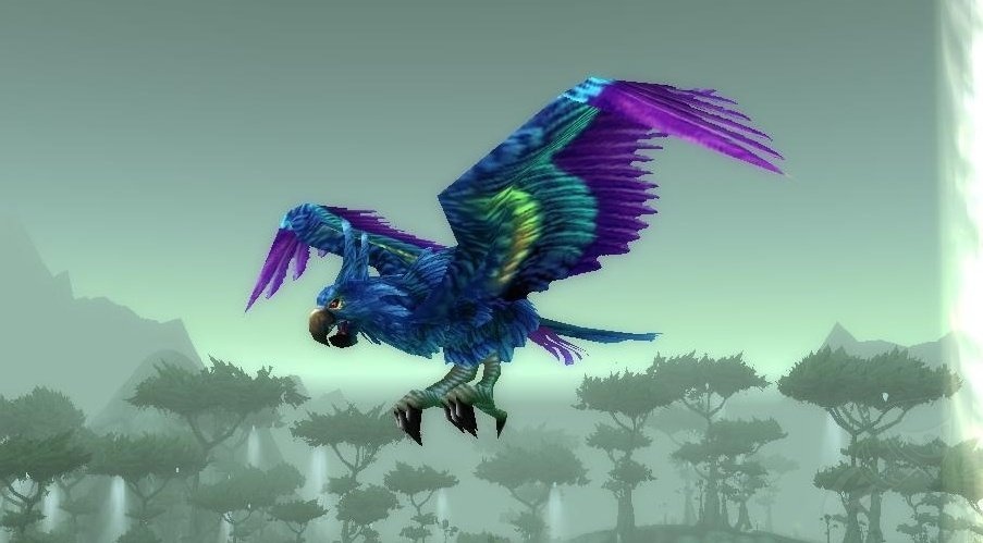 Hyacinth Macaw